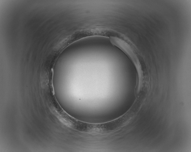 X0000081270593200701111308