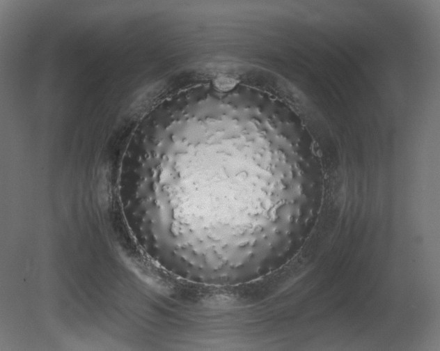X0000081270594200701111308