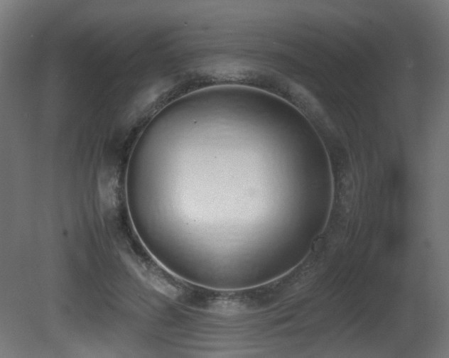 X0000081270596200701111308