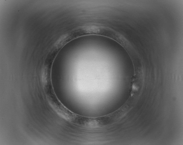 X0000081270600200701111308