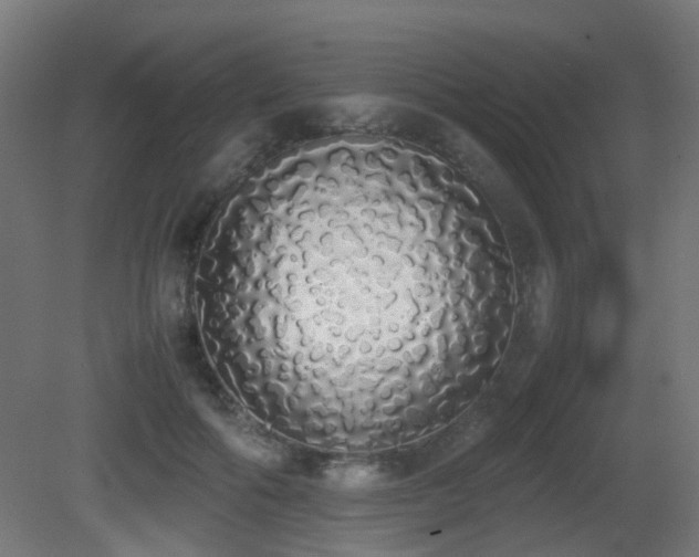 X0000081270602200701111308
