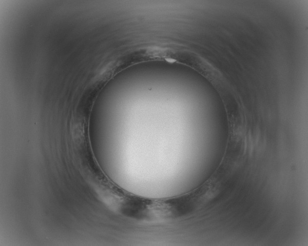 X0000081270603200701111308
