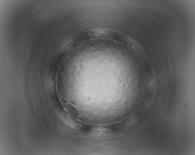 X0000081270607200701111308