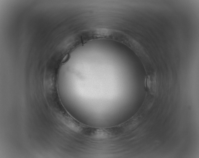 X0000081270608200701111308
