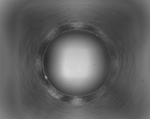 X0000081270609200701111308