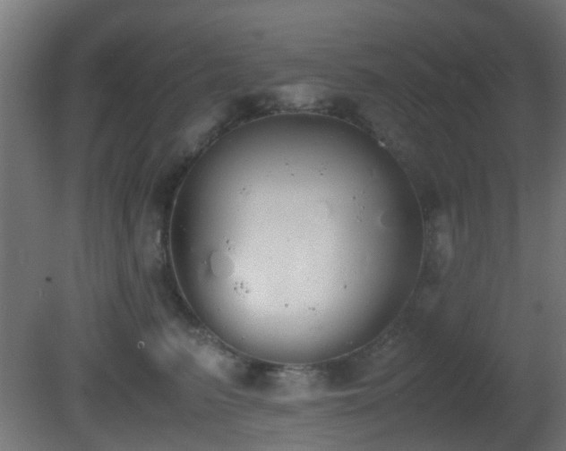 X0000081270615200701111308