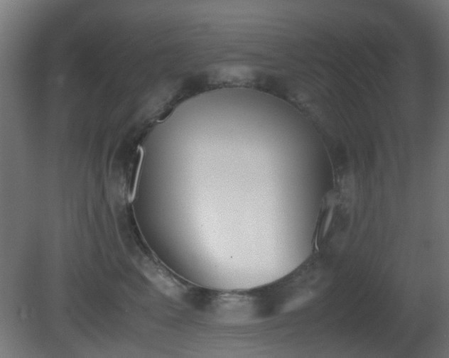 X0000081270617200701111308