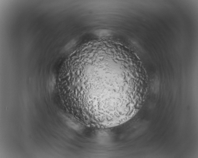 X0000081270618200701111308