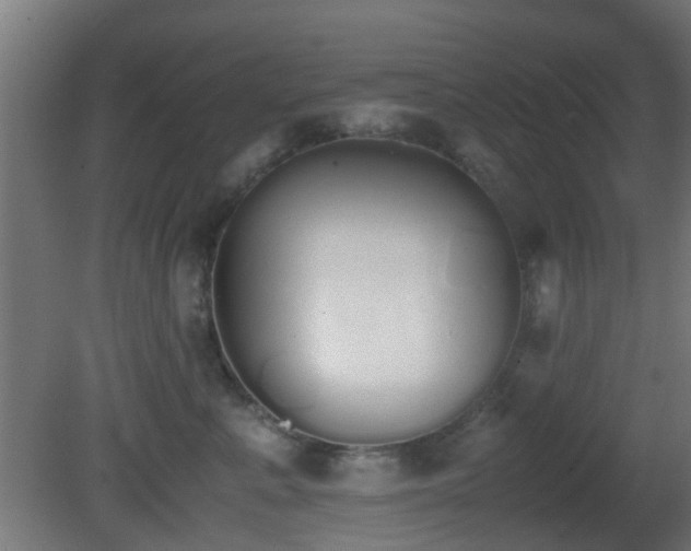 X0000081270619200701111308