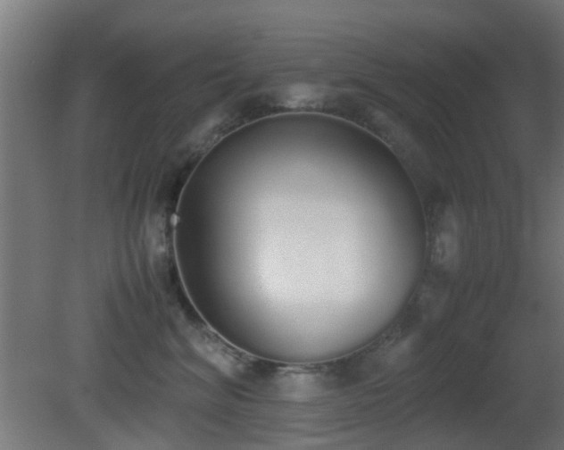 X0000081270620200701111308