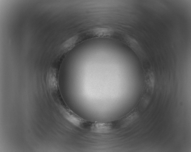 X0000081270622200701111308