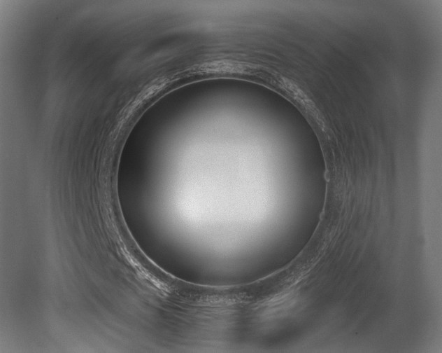 X0000081270625200701111307