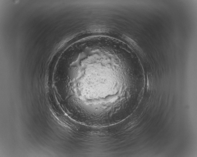 X0000081270627200701111307