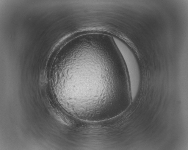 X0000081270628200701111307