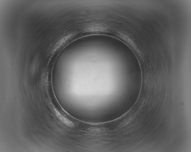 X0000081270629200701111307