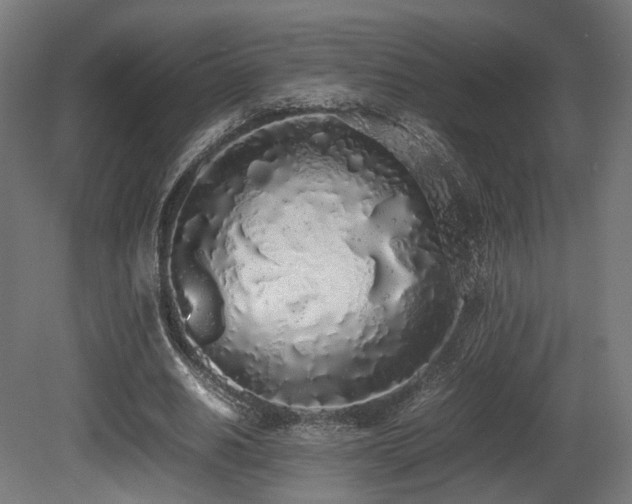 X0000081270630200701111307