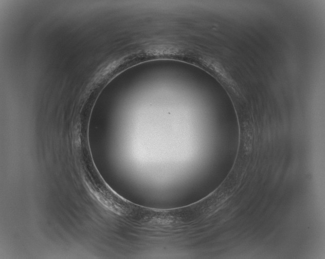 X0000081270631200701111307