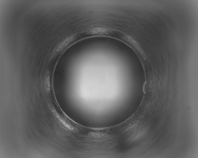 X0000081270633200701111307