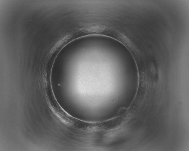 X0000081270634200701111307