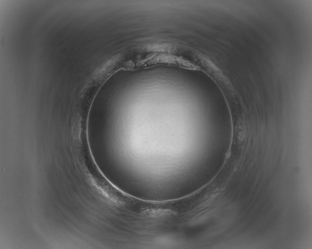 X0000081270637200701111307