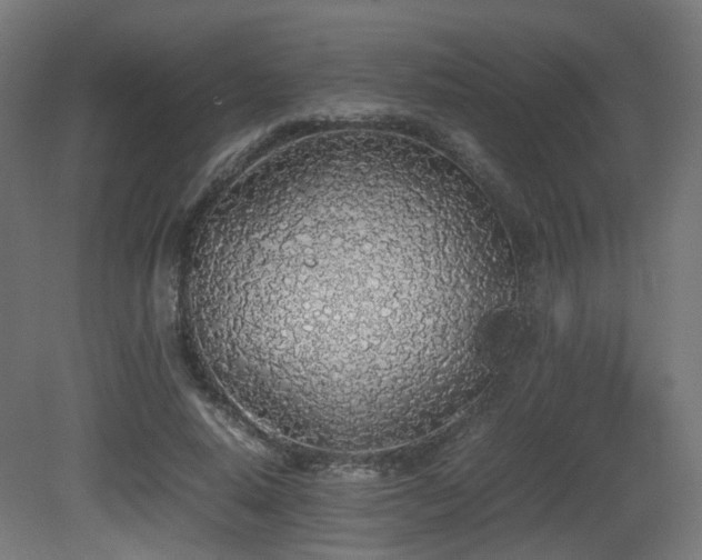 X0000081270640200701111307