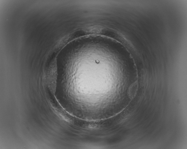 X0000081270641200701111307