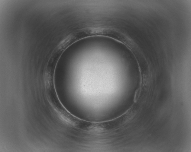 X0000081270648200701111307