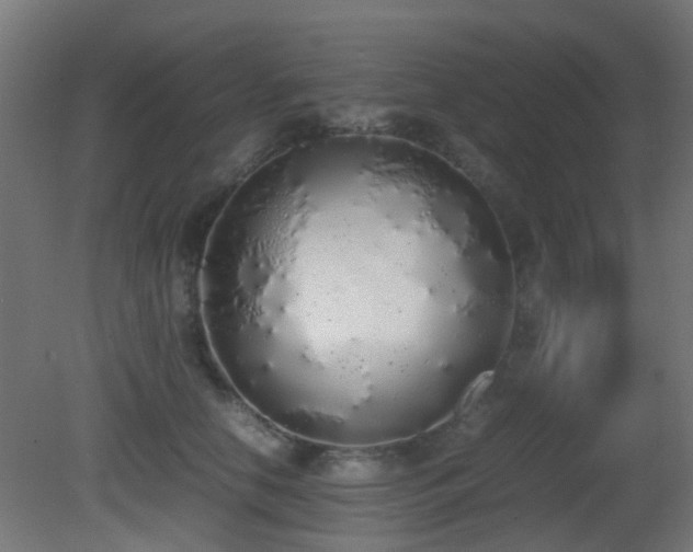 X0000081270658200701111307