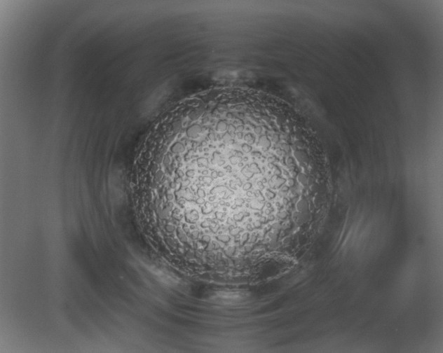 X0000081270659200701111307