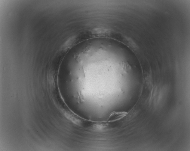 X0000081270662200701111307