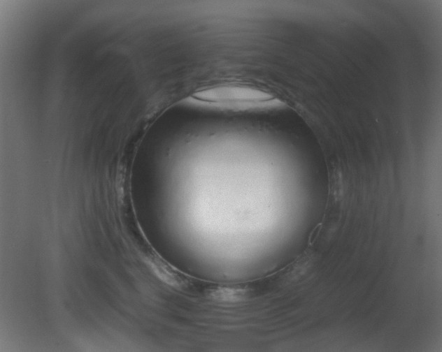 X0000081270664200701111307