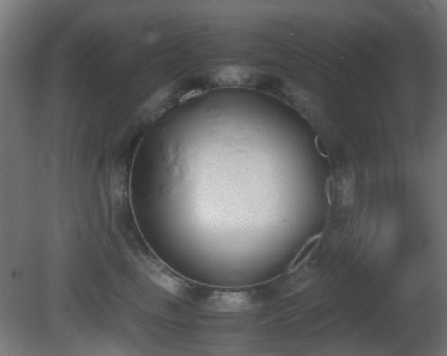 X0000081270665200701111307