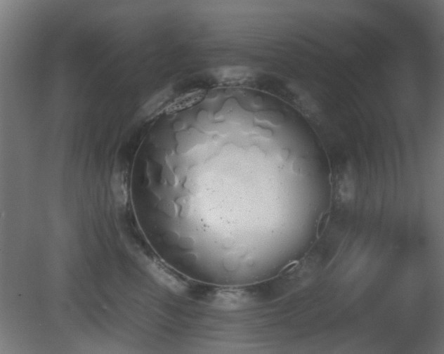 X0000081270666200701111307