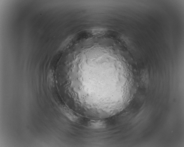 X0000081270667200701111307