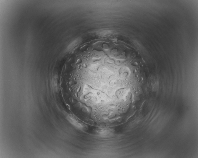 X0000081270670200701111308