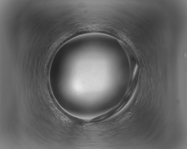 X0000081270673200701111307