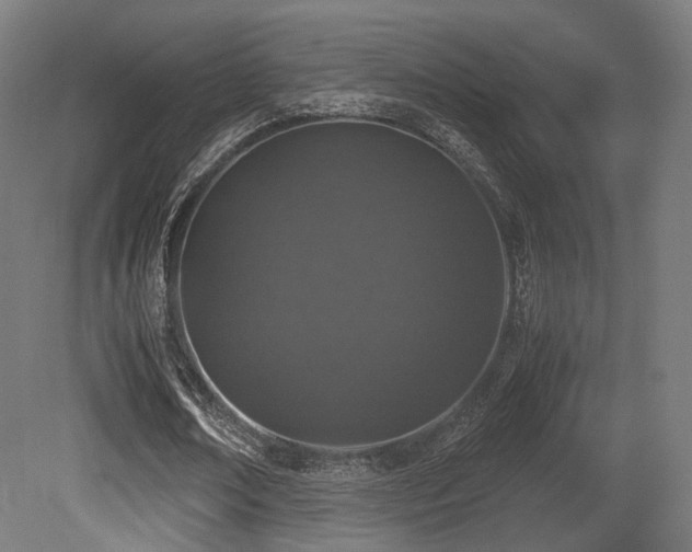 X0000081270674200701111307
