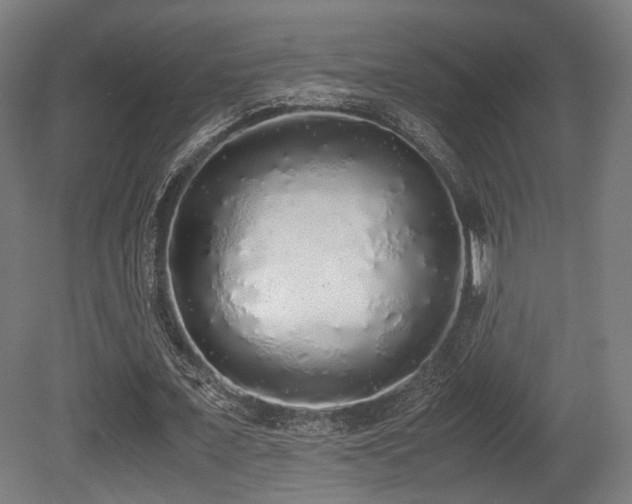 X0000081270675200701111307