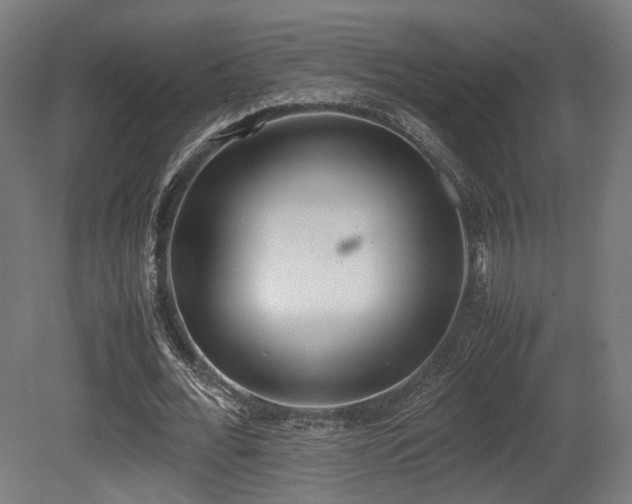 X0000081270676200701111307