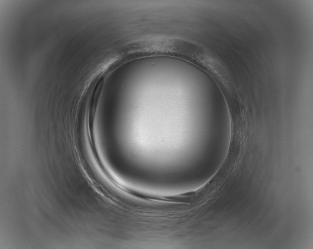 X0000081270677200701111307