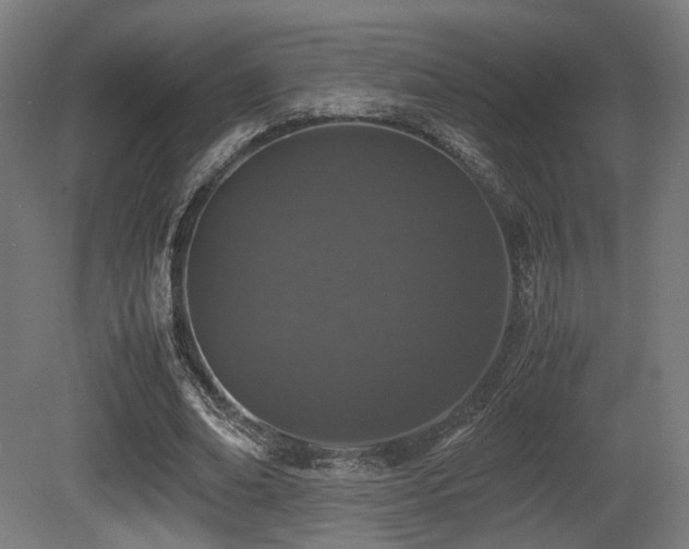 X0000081270678200701111307