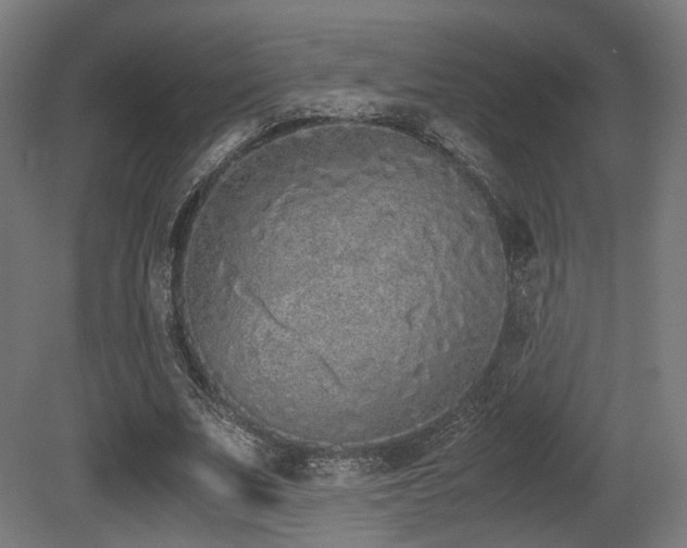 X0000081270679200701111307