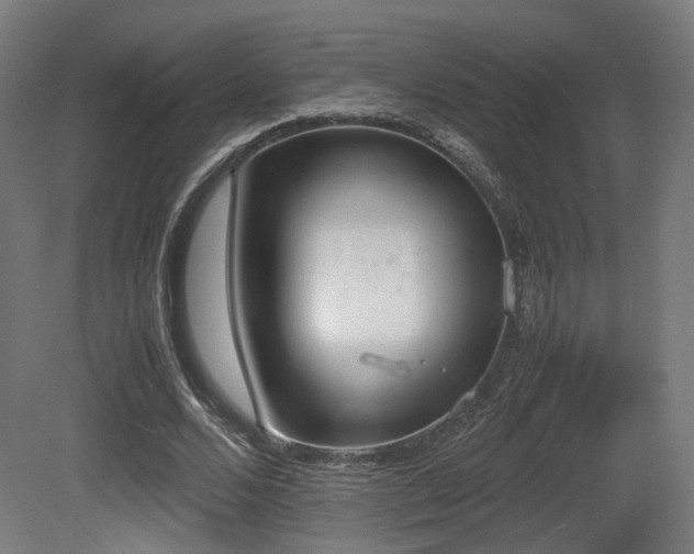 X0000081270680200701111307