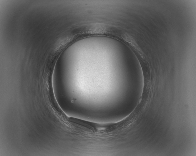 X0000081270681200701111307