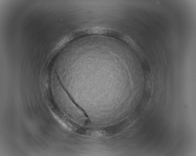 X0000081270683200701111307