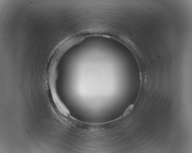 X0000081270684200701111307