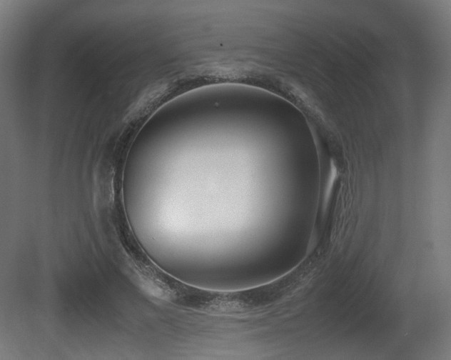 X0000081270685200701111307