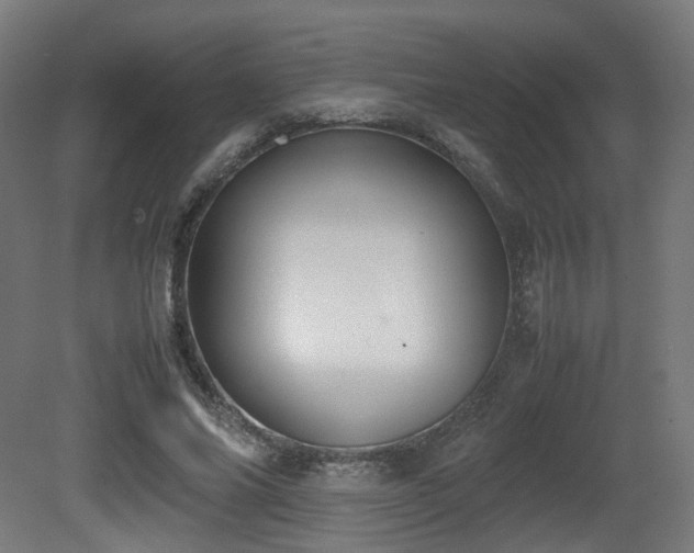X0000081270686200701111307