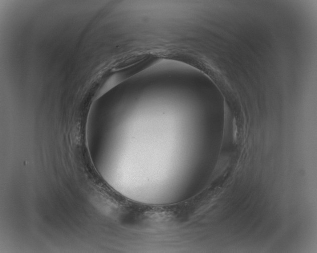 X0000081270689200701111306