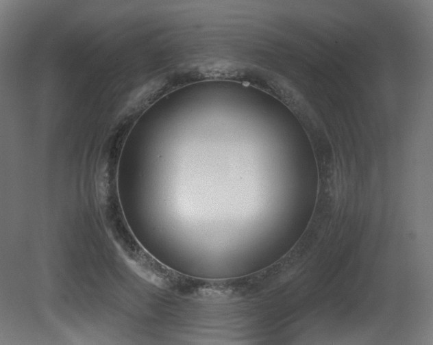 X0000081270690200701111306